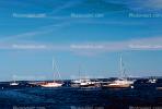 Boats, harbor, Camden, Maine, TSCV03P07_15.2023