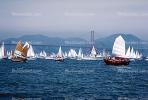 chinese junk, Opening Day on the Bay