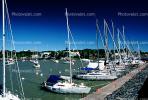 Docks, marina, Harbor, Colonia Uruguay, TSCV06P04_11