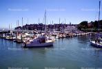 Marina, Tiburon Harbor, Docks, Marin County, California, TSCV06P08_12