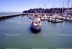 Marina, Tiburon Harbor, Docks, Marin County, California, TSCV06P08_13