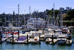 Corinthian Yacht Club, Tiburon Harbor, Docks, California, TSCV06P09_03