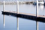 Empty Dock, Coyote Point, TSCV06P10_10