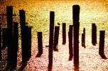 Pilings in the Sunset, TSCV06P13_01B