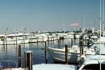 Holiday Harbor Marina, Portsmouth Virginia, TSCV07P07_01