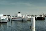 Docks, Somers Cove Marina, Crisfield, Maryland, TSCV07P07_08