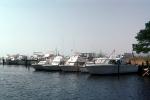 Docks, Shepards Marina, Maryland