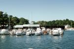 Docks, Shepards Marina, Maryland, TSCV07P09_01