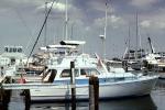 Crowded Docks, Yacht Basin Marina, Annapolis, Maryland, TSCV07P09_04