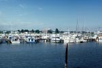 Crowded Docks, Castle Marina, Kent Island, Maryland