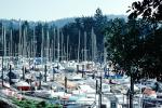 Crowded Docks, Marina, West Vancouver Yacht Club, TSCV07P10_02