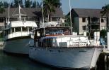 Yacht, Boats, Dock, Florida, TSCV08P02_19