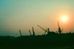Cranes, Sunset