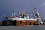 Cape Gibson IMO: 6821614, Cargo Ship, Floating Drydock, raft, Cranes, TSDV01P08_03.1718