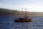Fishing Boat, town of Marshall, Tomales Bay, Marin County, Harbor, TSFD01_067