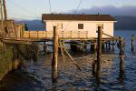 Dock, Building, town of Marshall, Tomales Bay, Marin County, Fishing Boat, Harbor, TSFD01_069