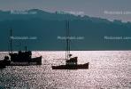 Marshall, Marin County, Harbor, Tomales Bay, Fishing Boat, town of Marshall, TSFV01P07_17.1718