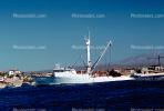 Tuna Fishing Boat, TSFV01P09_07.2885