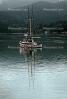 Marshall, Marin County, Harbor, Tomales Bay, Fishing Boat, town of Marshall, TSFV01P13_09B.2885