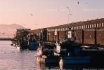 Fishing Boats, docks, pier, TSFV02P03_16.2886