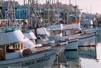 Fishing Boats, docks, pier, TSFV02P04_07.1718
