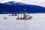Salmon fishing, Prince William Sound, near Valdez, TSFV02P05_10