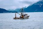 Salmon fishing, Prince William Sound, near Valdez, TSFV02P05_11.2886