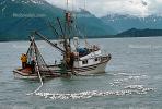 Salmon fishing, Prince William Sound, near Valdez, TSFV02P05_19.2886