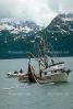 Salmon fishing, Prince William Sound, near Valdez