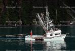 Prince William Sound, Salmon Fishing, Fishing Boat, TSFV02P10_19.2887