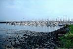 Half Moon Bay, Fishing Boats, Harbor, Dock, TSFV02P11_15.2887