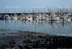 Half Moon Bay, Fishing Boats, Harbor, Dock