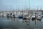 Half Moon Bay, Fishing Boats, Harbor, Dock, TSFV02P11_18.2887