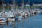 Half Moon Bay, Fishing Boats, Harbor, Dock, TSFV02P12_04.2887