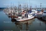 Half Moon Bay, Fishing Boats, Harbor, Dock, TSFV02P12_05.2887