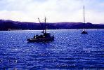 Fishing Boat, town of Marshall, Tomales Bay, Marin County, Harbor, TSFV02P13_11
