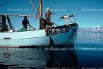 Whaling, Whale Hunting, Harpoon, Harpoonist, TSFV02P13_18.2887