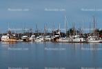 Eureka, Harbor, Docks
