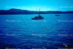 Fishing Boat, town of Marshall, Tomales Bay, Marin County, Harbor, TSFV03P02_07.2887