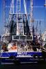 Long Beach, Docks, Fishing Boats, TSFV03P02_14