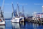 Long Beach, Docks, Fishing Boats, TSFV03P03_01
