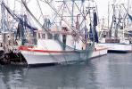 Harbor, Docks, Fishing Boats, Gulfport, TSFV03P03_06