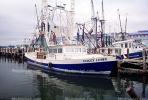 Gulfport, Harbor, Docks, Fishing Boats, TSFV03P03_09