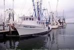 Gulfport, Harbor, Docks, Fishing Boats, TSFV03P03_10