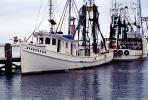 Gulfport, Harbor, Docks, Fishing Boats, TSFV03P03_19