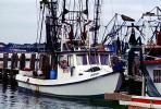 Gulfport, Harbor, Docks, Fishing Boats, TSFV03P04_02