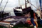 Gulfport, Harbor, Docks, Fishing Boats, TSFV03P04_04
