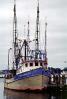 Gulfport, Harbor, Docks, Fishing Boats, TSFV03P04_16