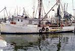 Gulfport, Harbor, Docks, Fishing Boats, TSFV03P05_04