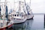 Gulfport, Harbor, Docks, Fishing Boats, TSFV03P05_06